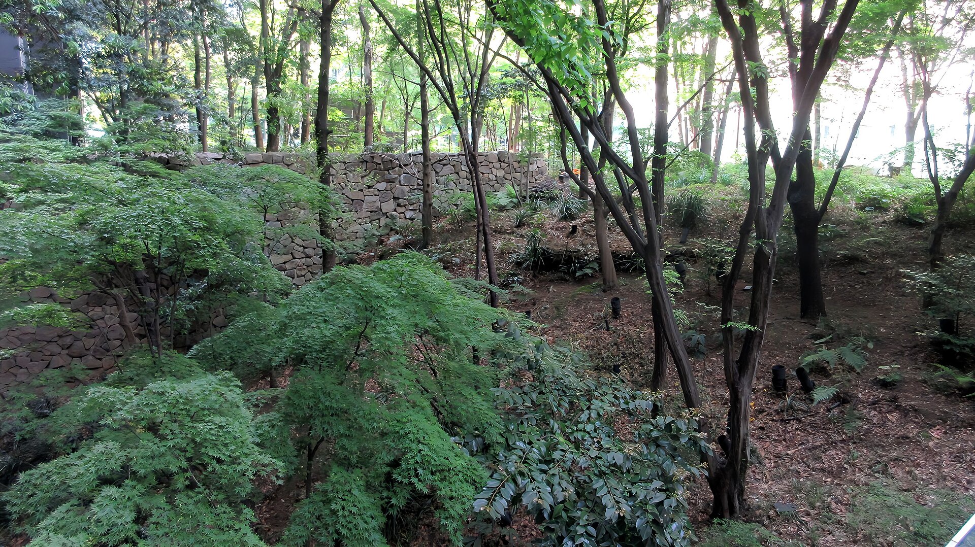 El bosque de Otemachi, al pie de la torre del hotel