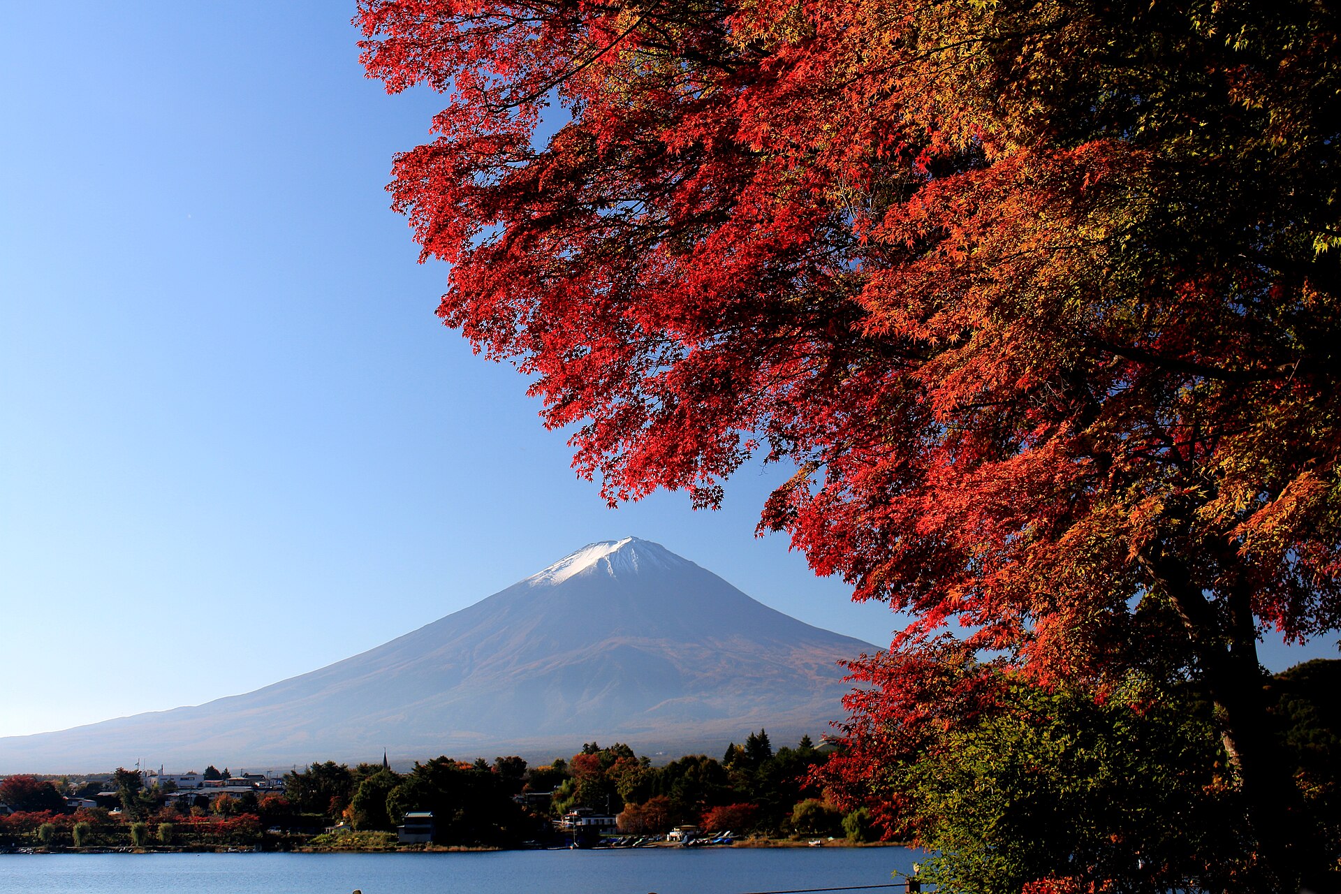 Roter Ahorn und der Fuji über dem Kawaguchi-See im Herbst