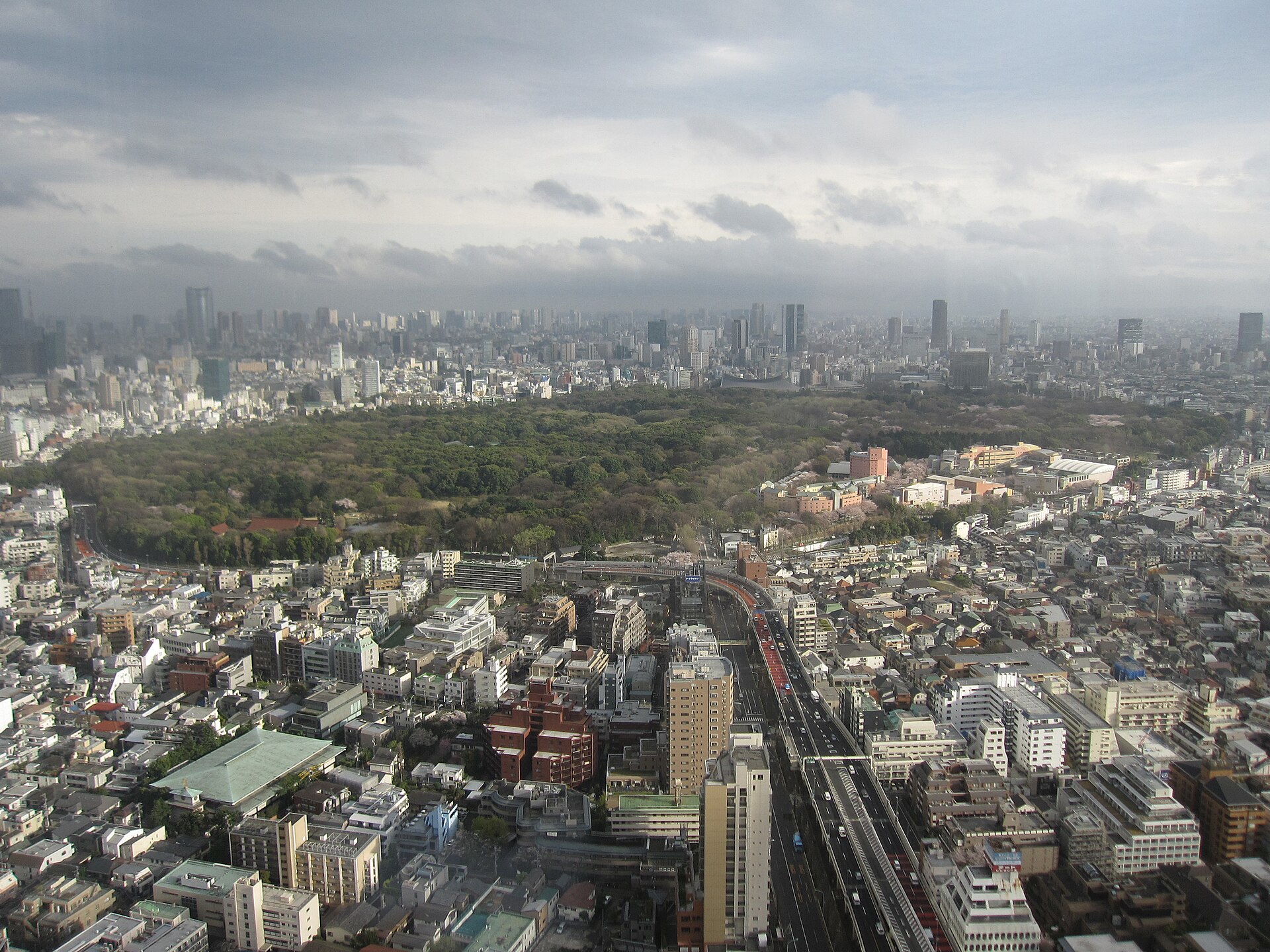 The forest of Meiji Jingū shrine and Yoyogi Park, seen from the hotel