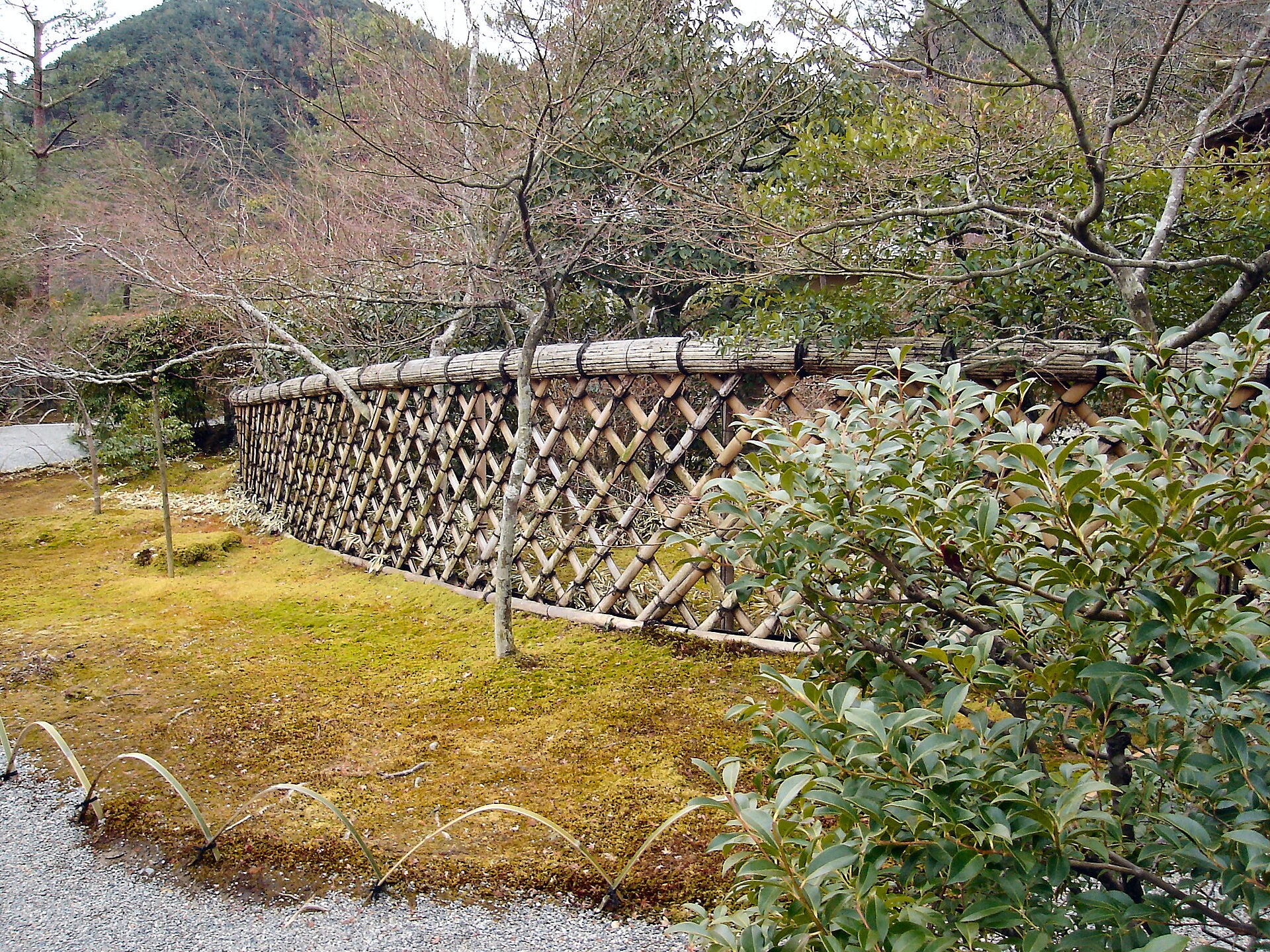 La cerca de bambú del Kōetsu-ji, templo vecino del hotel, al pie del monte Takagamine