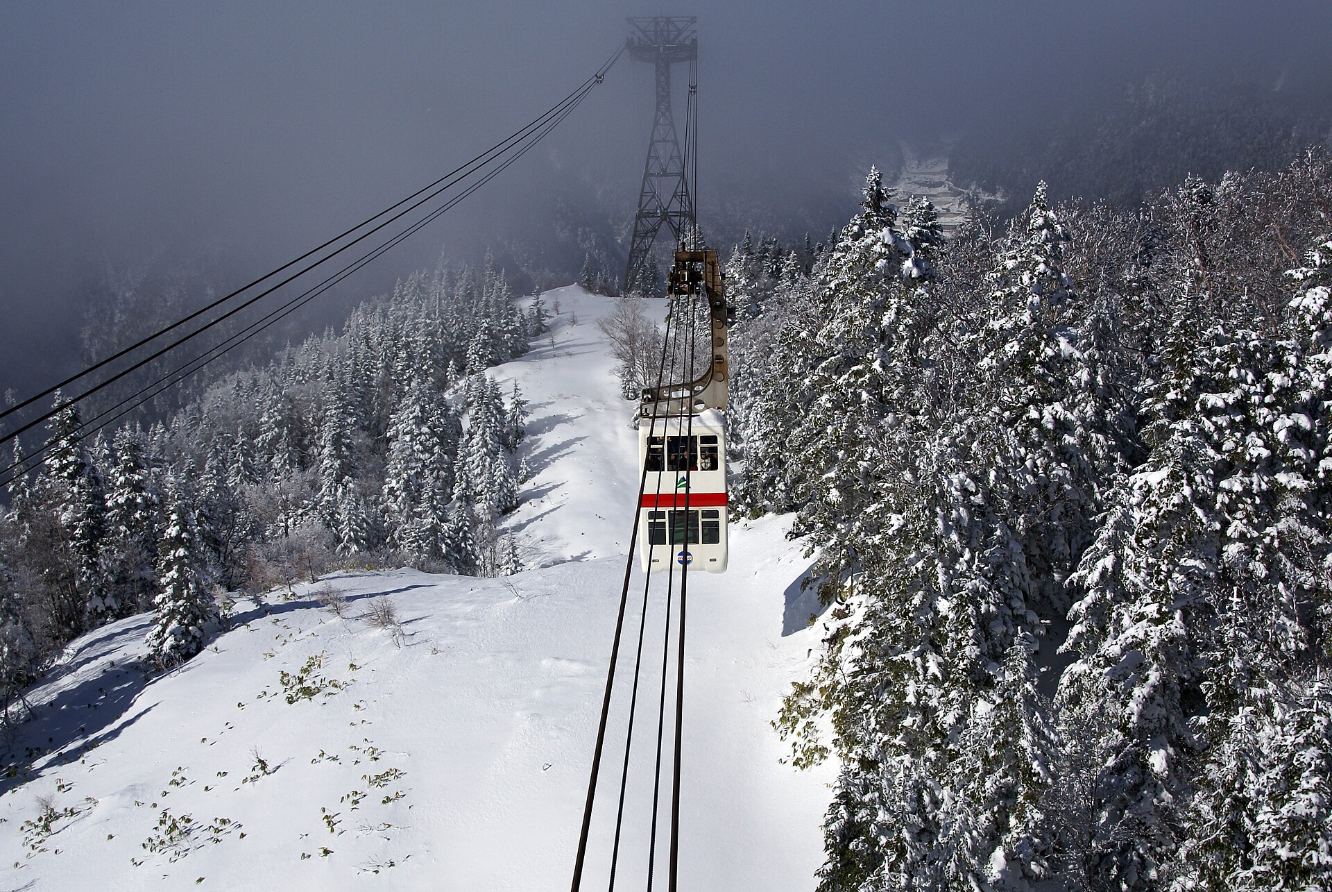 Une cabine du Shinhotaka Ropeway au-dessus de la forêt enneigée