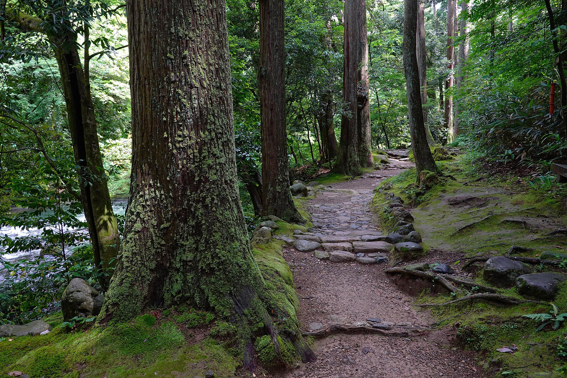 Het pad door de Kakusenkei-kloof tussen ceders en mos, langs de rivier